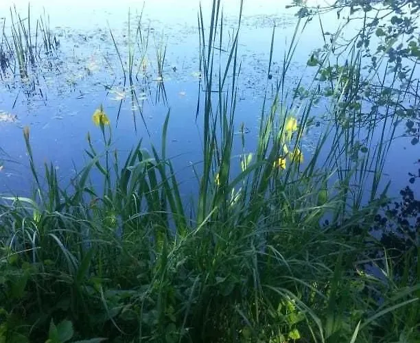 Lejlighed Am Malchiner Buelow